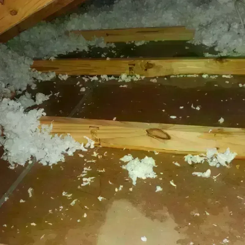 Attic Water Damage in Tawas City, MI